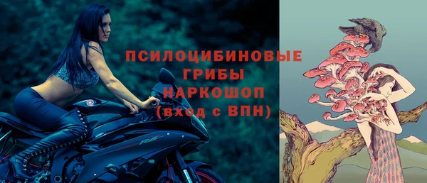 соль ск Алзамай